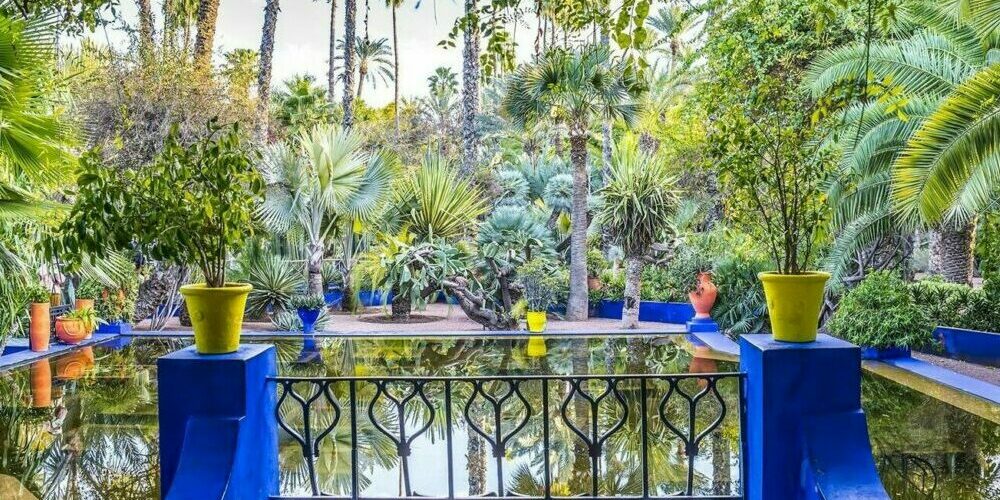 Visiter Les Jardins Majorelle à Marrakech