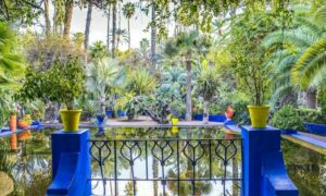 Visiter Les Jardins Majorelle à Marrakech