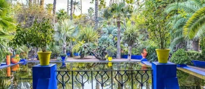 Visiter Les Jardins Majorelle à Marrakech