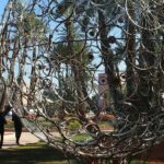 Le Jardin Des Arts Marrakech