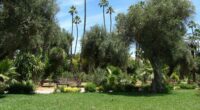 Jardin Jnane El Harti Marrakech