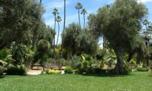 Jardin Jnane El Harti Marrakech