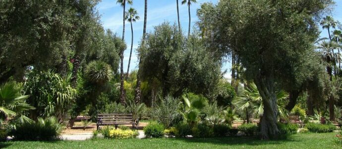Jardin Jnane El Harti Marrakech