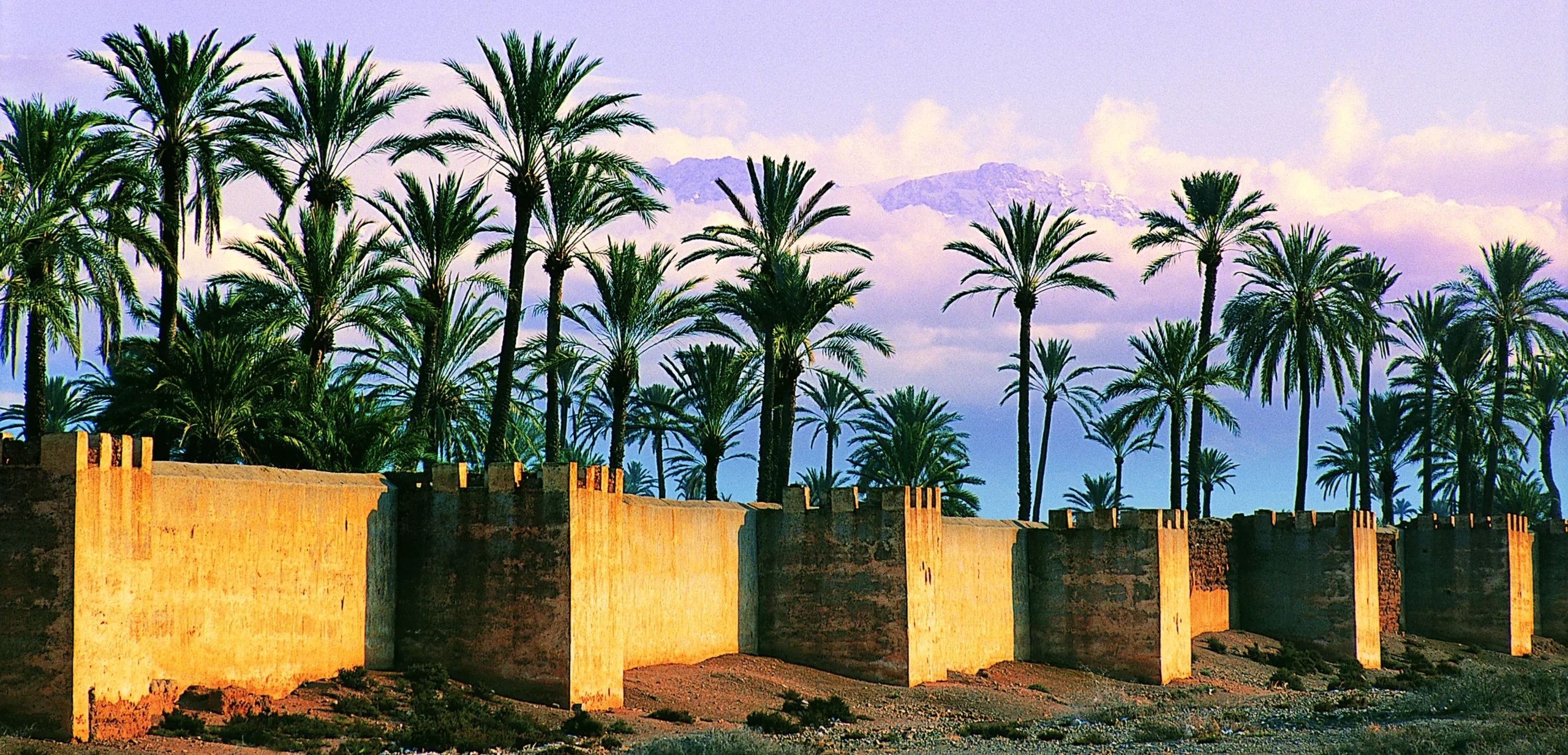 La Palmeraie De Marrakech