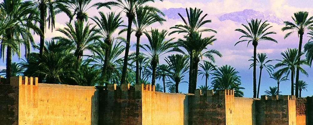 La Palmeraie De Marrakech