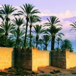 La Palmeraie De Marrakech