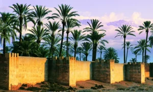 La Palmeraie De Marrakech