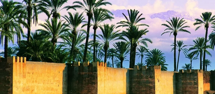 La Palmeraie De Marrakech