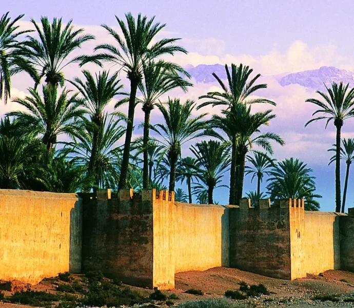 La Palmeraie De Marrakech