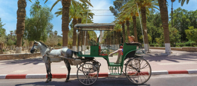 Promenade en Calèche à Marrakech
