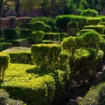 Les Jardins Du Cyber Parc Marrakech