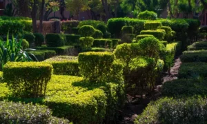 Les Jardins Du Cyber Parc Marrakech