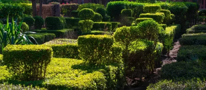 Les Jardins Du Cyber Parc Marrakech