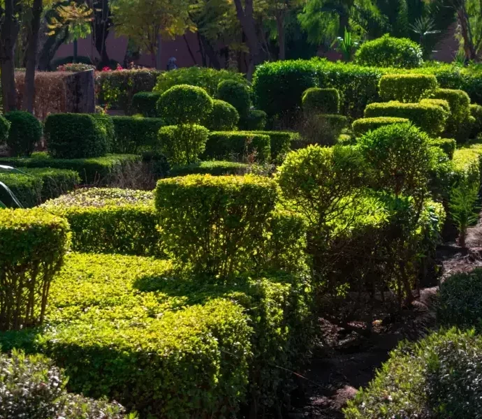 Les Jardins Du Cyber Parc Marrakech