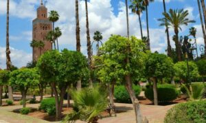 Les Jardins De La Koutoubia Marrakech