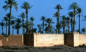 Les Jardins De L'Agdal Marrakech