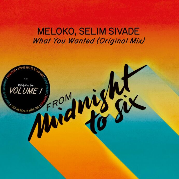 Meloko - What You Wanted