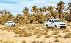 Randonnée En 4X4 à Marrakech