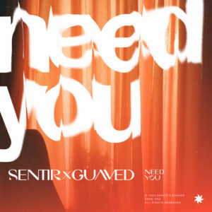 Sentir & Guaved - Need You