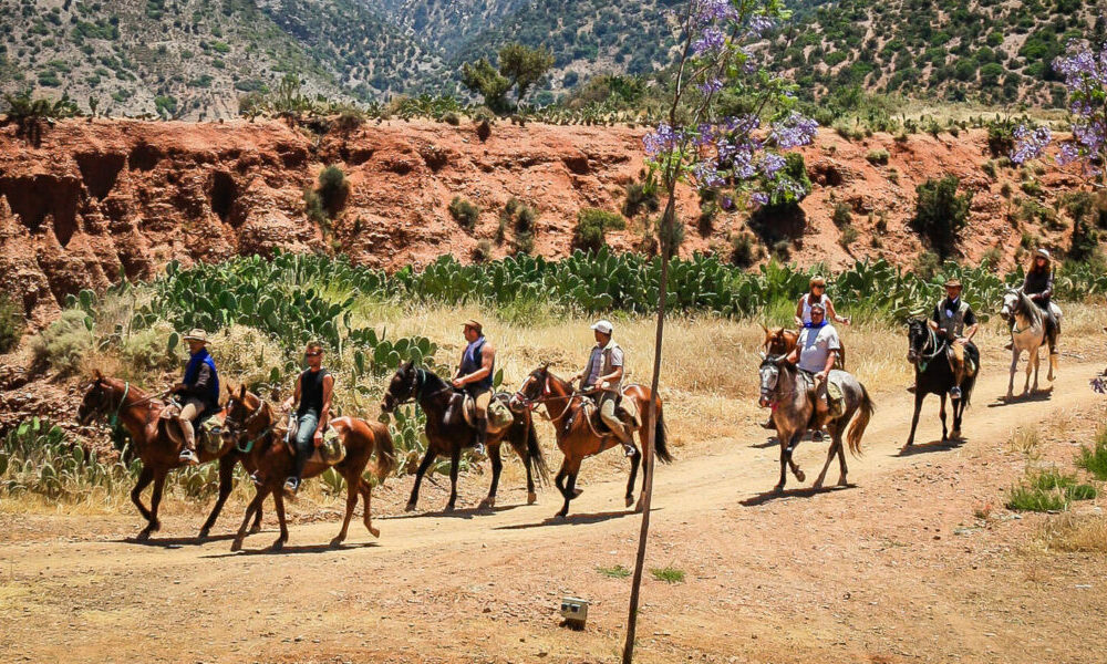 Ranch de la Vallée des Roses Marrakech
