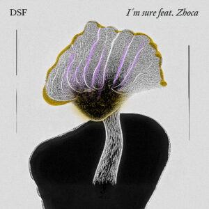 D.S.F - I'm Sure