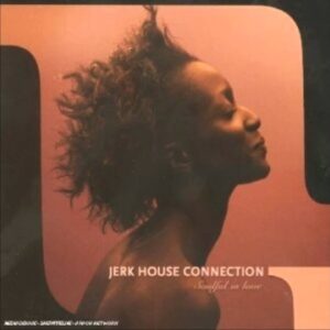 Jerk House Connection - Sweet Soul