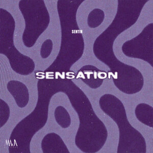 Sentin - Sensation