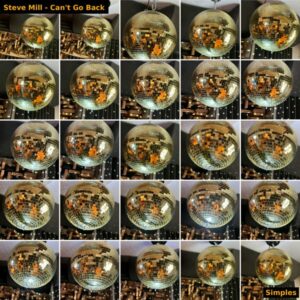 Steve Mill - Can't Go Back