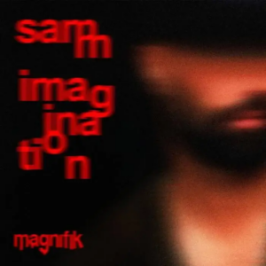 Samm (BE) - Imagination