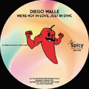 Diego Walle - We're Not In Love, Just In Sync