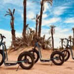 La Palmeraie En Trottinette Electrique