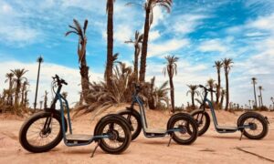 La Palmeraie En Trottinette Electrique