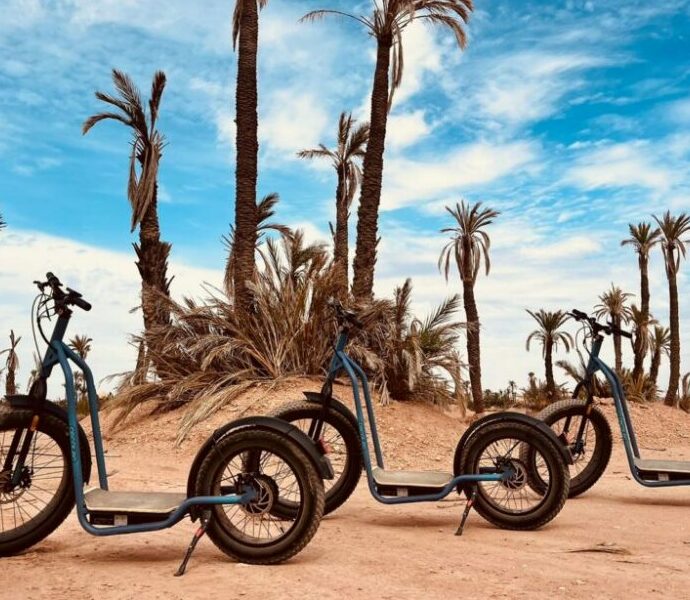 La Palmeraie En Trottinette Electrique