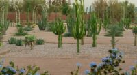 Le Jardin Ocre Marrakech