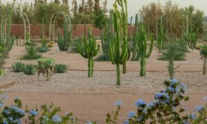 Le Jardin Ocre Marrakech