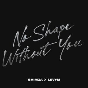 Shimza & LevyM - No Shape Without You