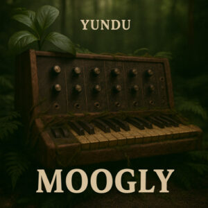 Yundu - Moogly