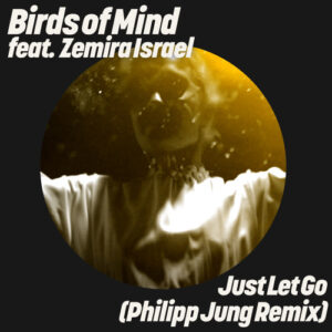 Birds Of Mind - Just Let Go