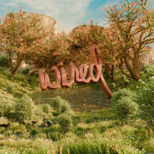 Joezi - Canta Mi Voz