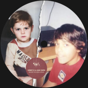 Urmet K & Juan Yarin - Where The Birds Speak