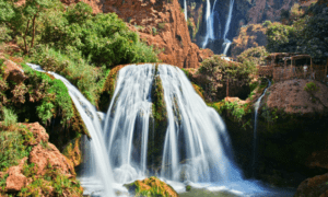 Excursions à Marrakech & Daytrips