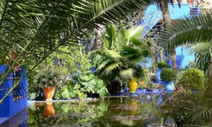 Parcs & Jardins à Marrakech