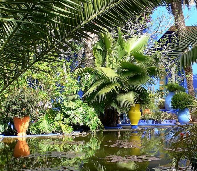 Parcs & Jardins à Marrakech