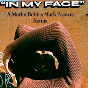 Merlin Bobb & Mark Francis - In My Face
