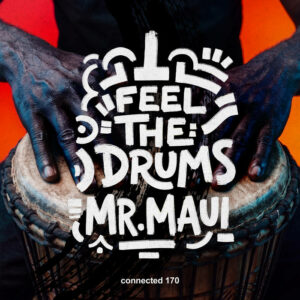 Mr. Maui - Feel The Drums