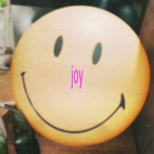 Monkey Safari & DJ Island - Joy