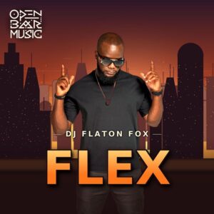 DJ Flaton Fox - Cold Strings