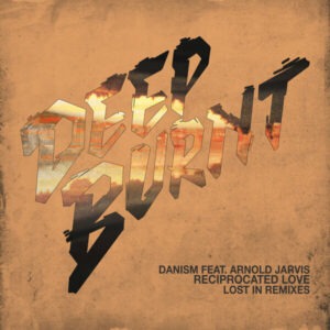 Danism, Arnold Jarvis & Lost In - Reciprocated Love